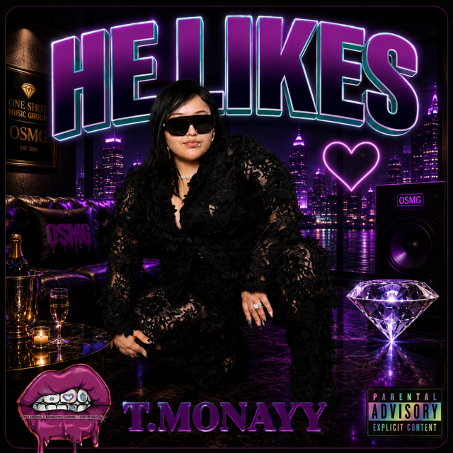 He Likes by t.Monayy cover artwork